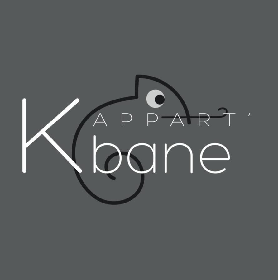 L'Appart K-Bane- Wifi Fibre- Checkin Auto- 2 Pers Ле-Ман Экстерьер фото